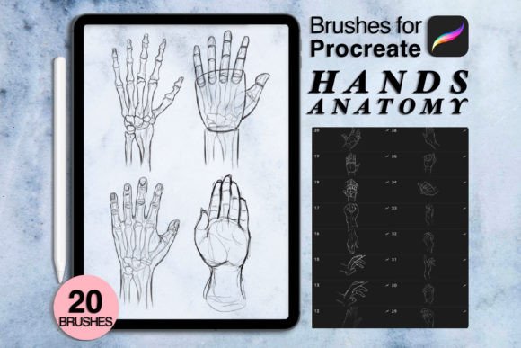 20 Hands Anatomy Procreate Brushes