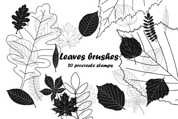 Leaves Brushes Stamp for Procreate